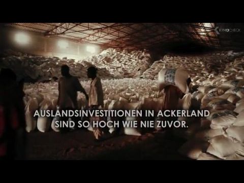 Halott szamár nem fél a hiénától