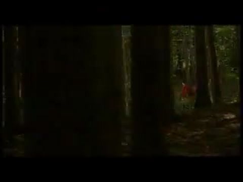 A miskolci boniésklájd