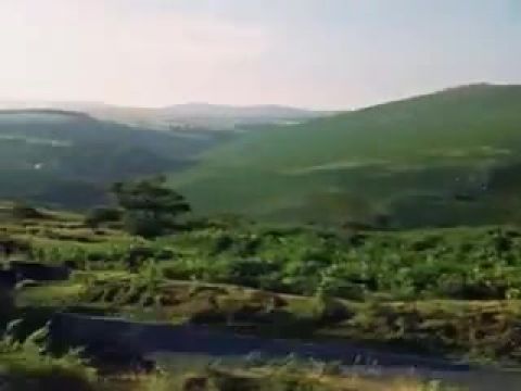 Rebecca - A Manderley-ház asszonya