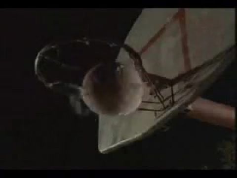 Tuti gimi - 1. évad