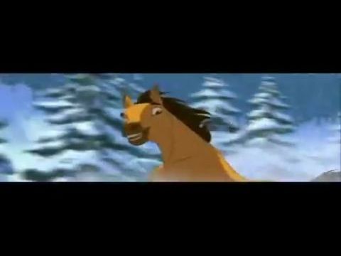 Szilaj, a vad völgy paripája