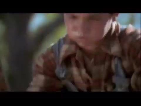 Kutyabajok (Ahol a vörös páfrány nő, Ahol a vörös páfrány az égig ér)