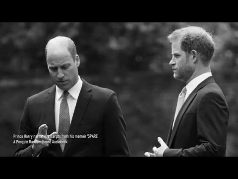 Harry − Az interjú