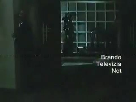 Hullajó hullajelölt