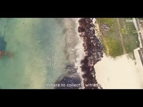 Hívjátok Millie Blacket! - 1. évad