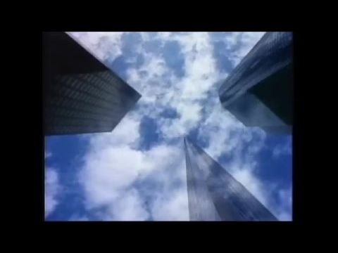 The Bold and the Beautiful