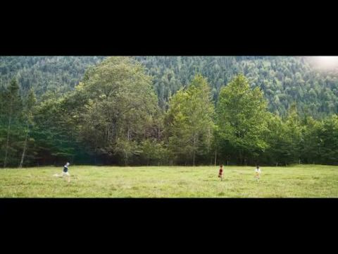 Woodwalkers 2