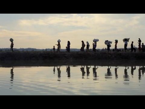 Trust Machine: The Story of Blockchain