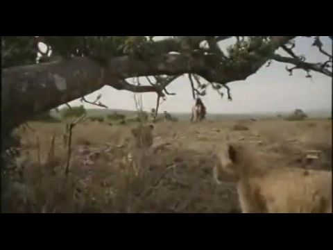 Salamon király kincse