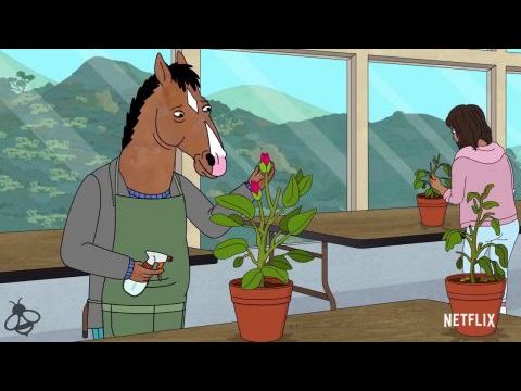 BoJack Horseman