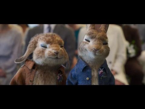 Nyúl Péter 2 - Nyúlcipő