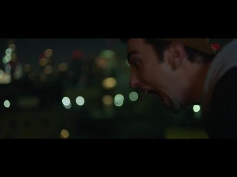 The Cat and the Moon