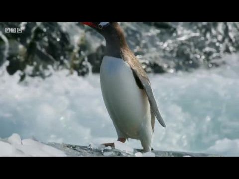 Hét világ, egy bolygó / Egy bolygó hét világa