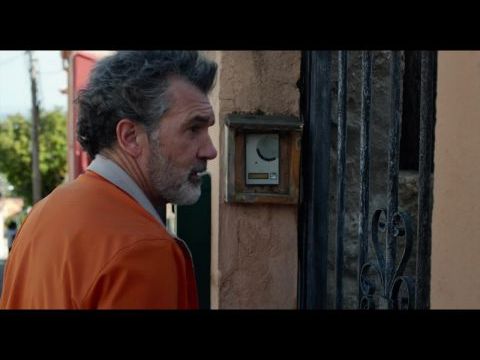 Fájdalom és dicsőség