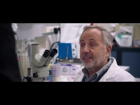 A java még hátravan