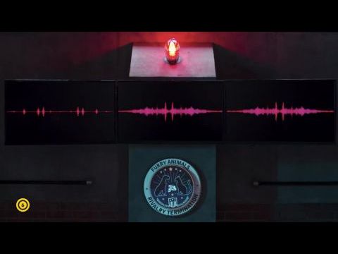 Kutyák és macskák 3. - A mancs parancs