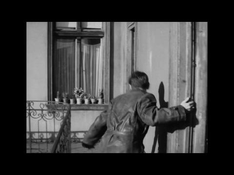 Apa (Egy hit naplója)