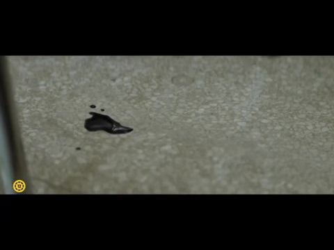 Bűvölet - Az örökség