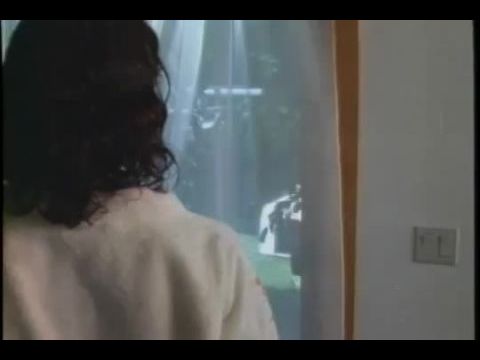 A szürkület szolgái