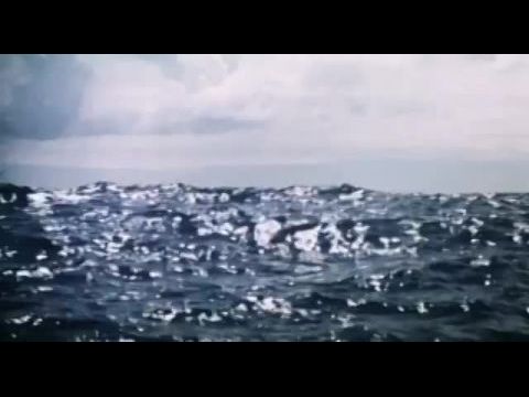 Szigetek az áramlatban