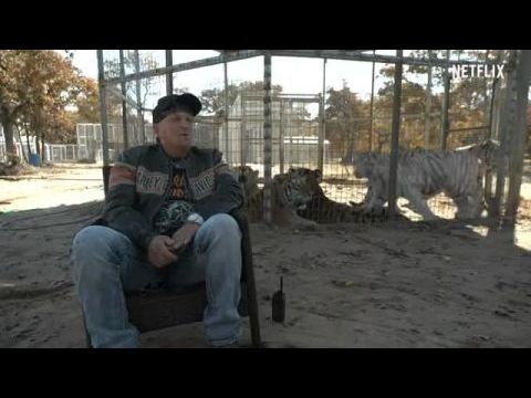 Tigrisvilág - 2. évad