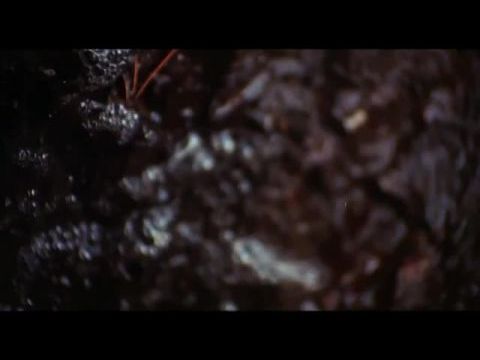 Testrablók támadása