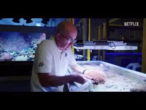 Zac Efronnal a Föld körül