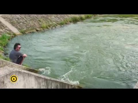 Tisza-tó, az ember alkotta paradicsom