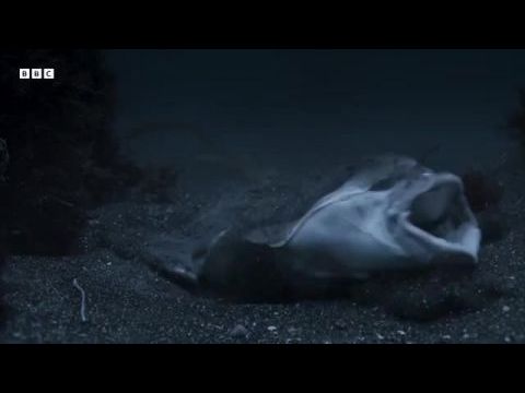 Bolygónk, a Föld III