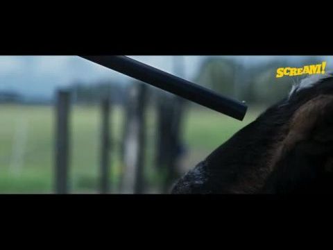 Amikor a gonosz leselkedik