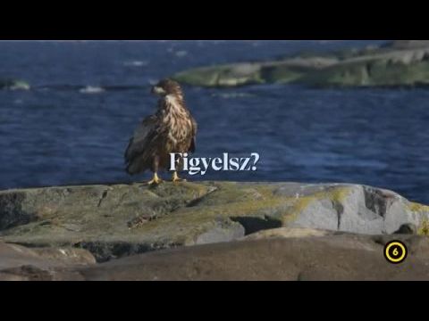 Változó vadon – Az én Északom