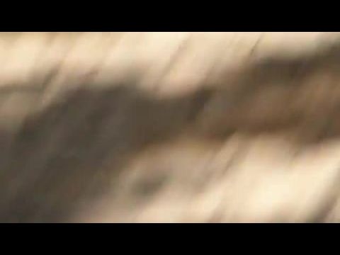 2004-es szökőár: Versenyfutás az idővel