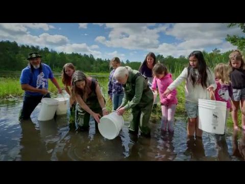 Jane Goodall: Reasons for Hope