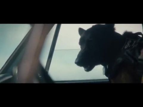 Muzzle: City of Wolves