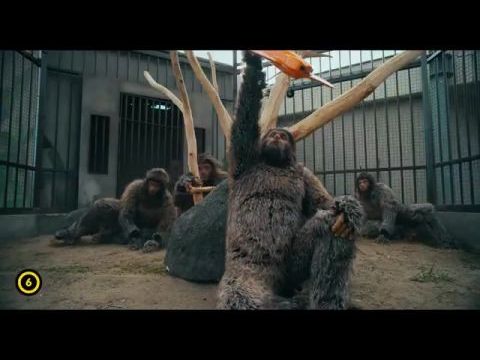 Akiko, a repülő majom