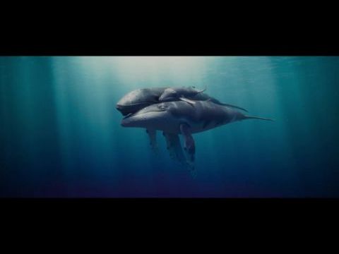 The Last Whale Singer