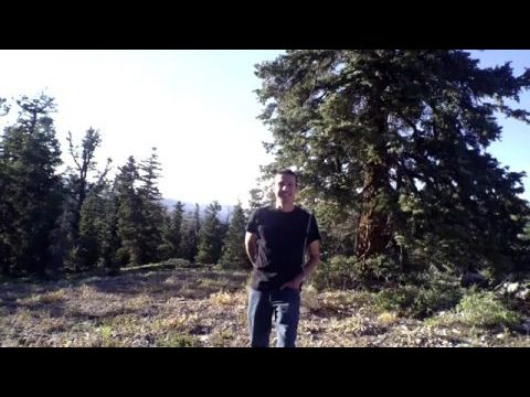 Horror in the High Desert