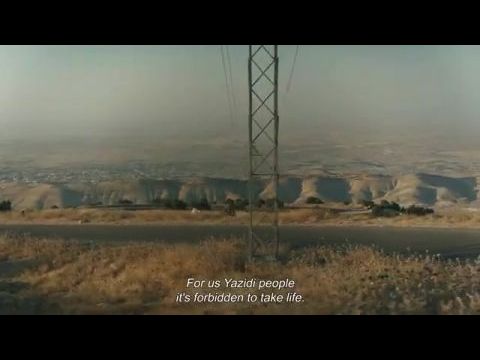 Rasíd, a szindzsári fiú