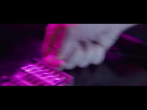 The Virginia Bitches