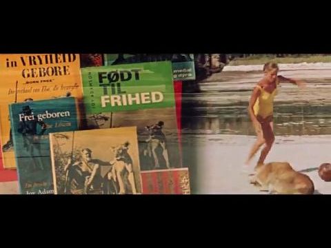 Elza, a vadon szülötte