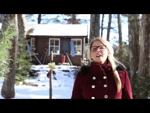 The Lost Footage of Leah Sullivan