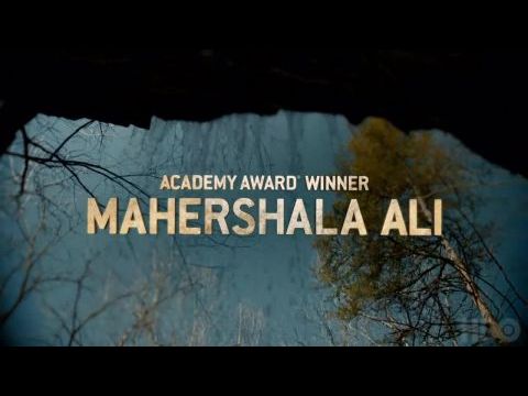 A törvény nevében - 3. évad