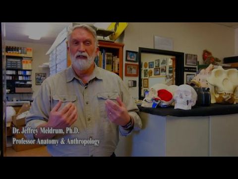 Sasquatch Among Wildmen