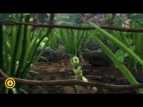 Hangyás kincskeresés