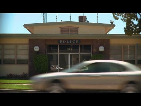 A kutya, aki megmentette a nyarat