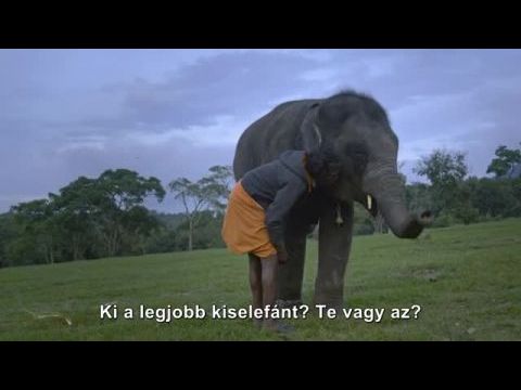 Az elefántsuttogók