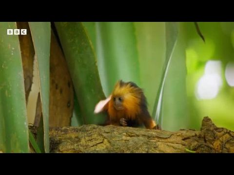 Hatalmas kis utazások