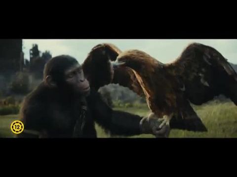 A majmok bolygója: A birodalom