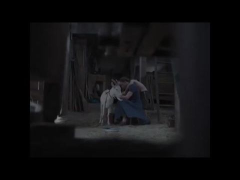 Emma és a halálfejes lepke