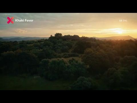 Khaki Fever